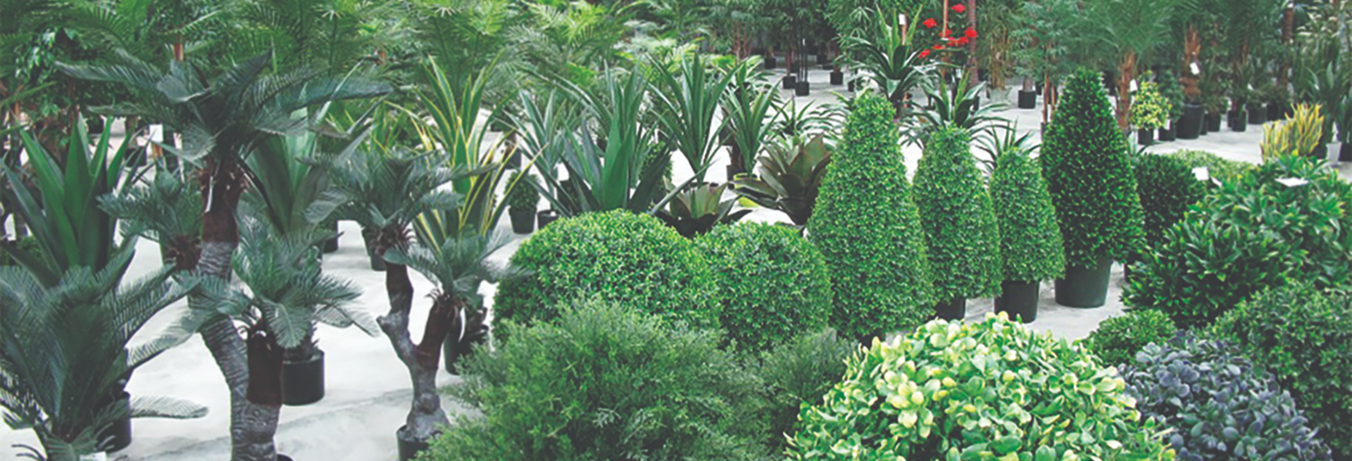 Reliable & High-Quality Artificial Plants