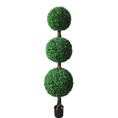 Boxwood Tree Triple Ball Topiary