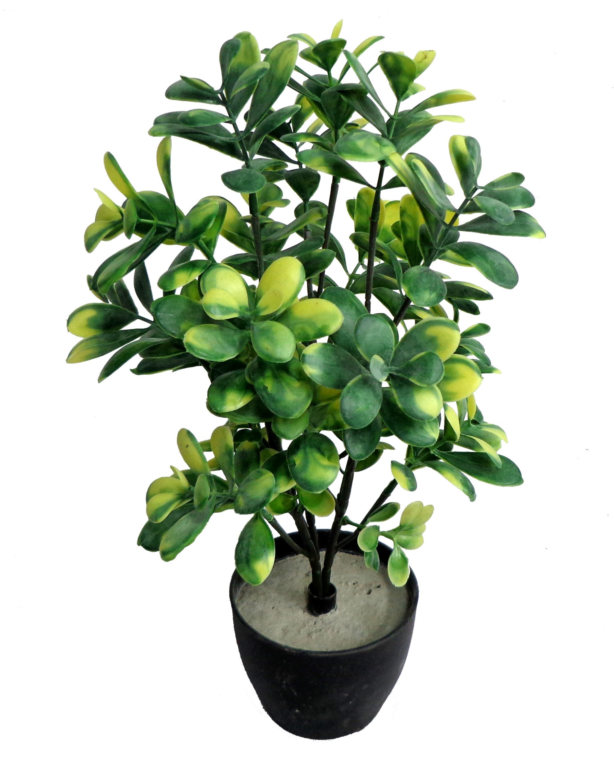 15.75″ UV Resistant Plastic Mini Pittosporum Spray w/ 27Lvs.