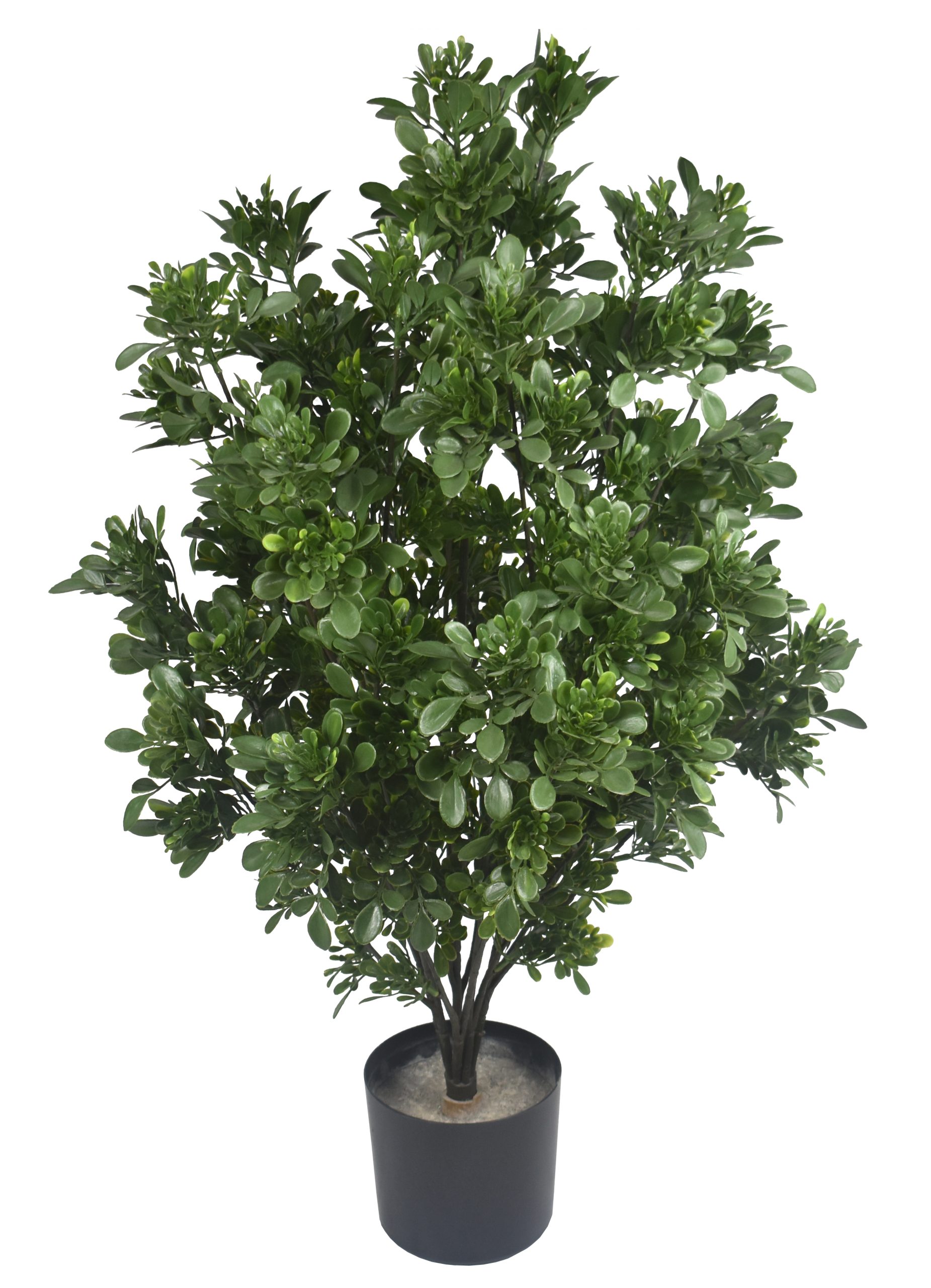 31″ UV Resistant Plastic Tea Leaf Spray x8 w/ 270Lvs.