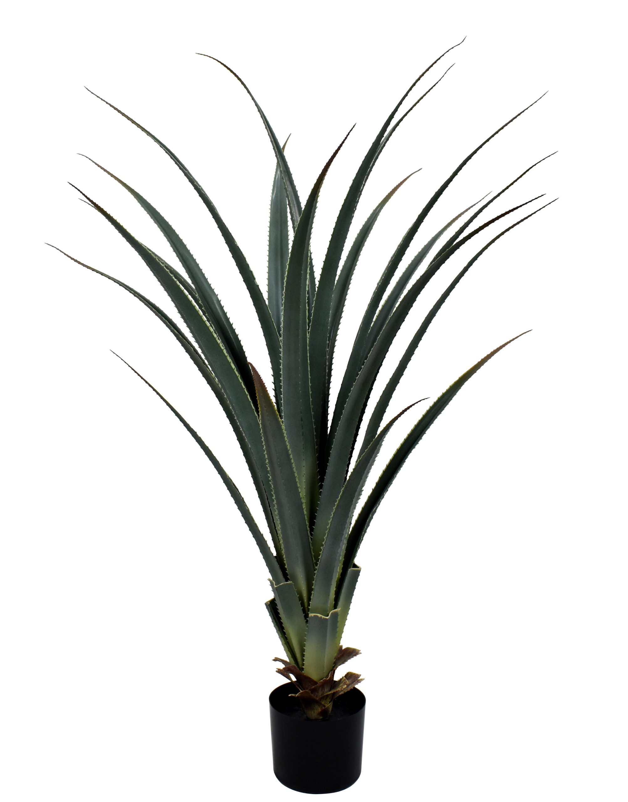 40″ Giant Agave Plant w/48Lvs.