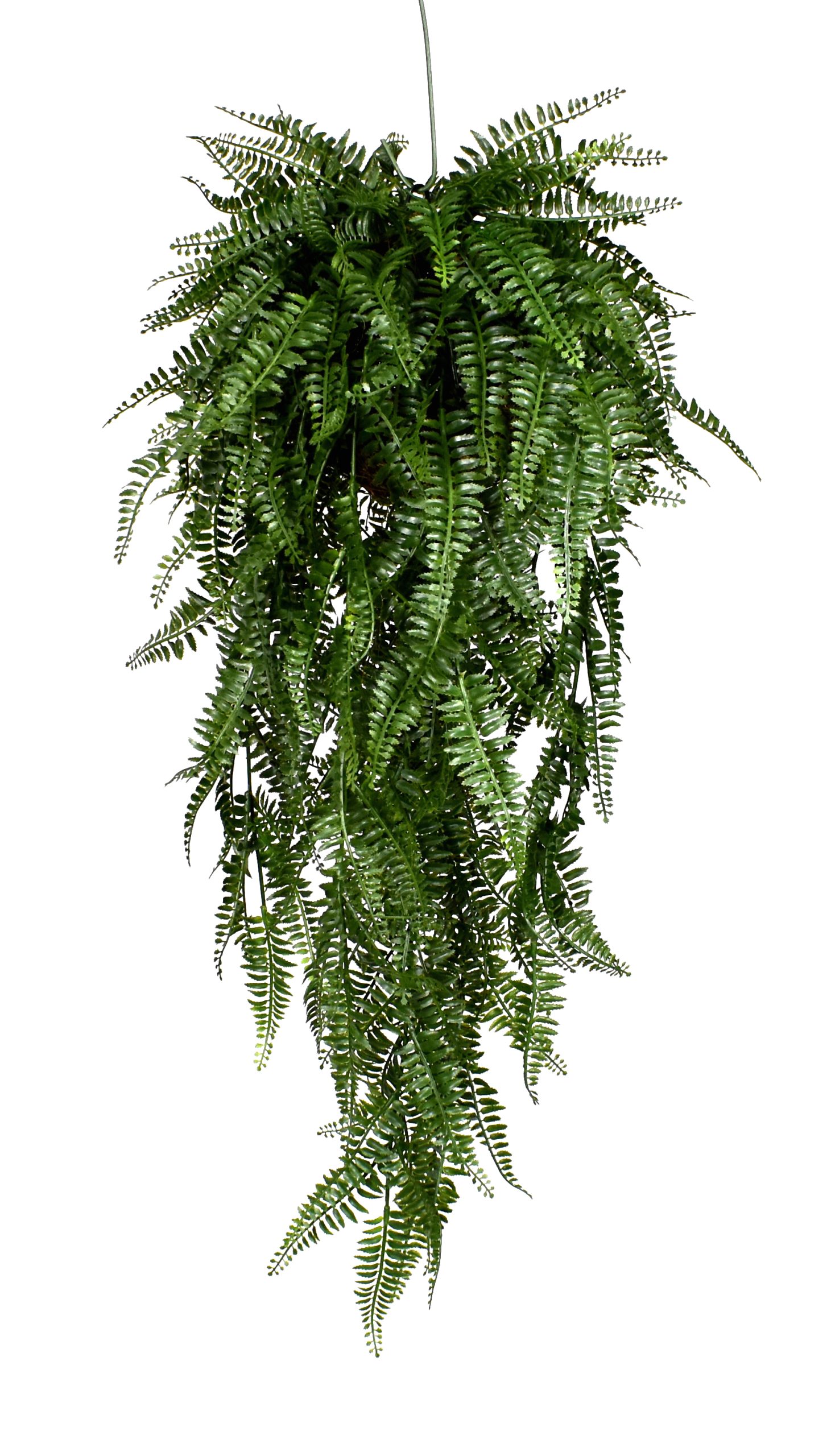 30″ UV Resistant Plastic Leather Fern hanging ball w/274Lvs. on natural vine based