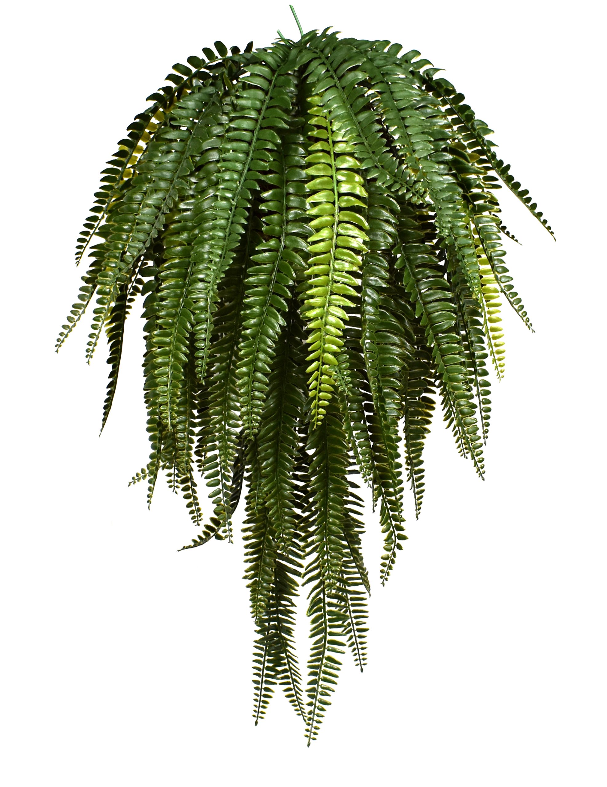 26.5″ UV Resistant Plastic Boston Fern Bush w/75Lvs.