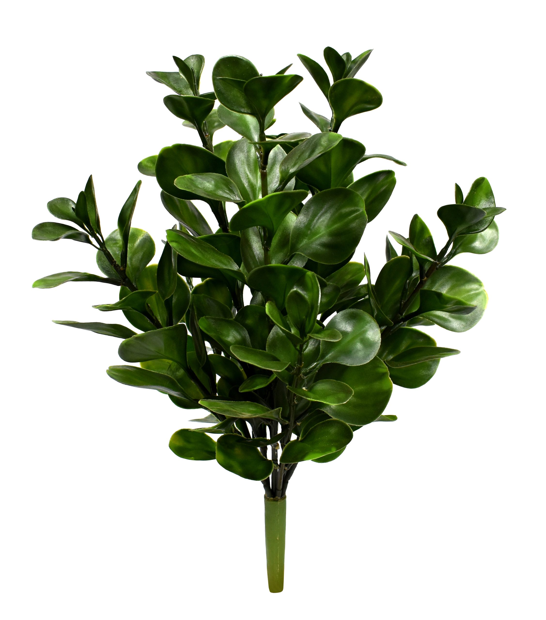 18″ UV Resistant Plastic Big Money Ficus Spray x9 w/135Lvs.