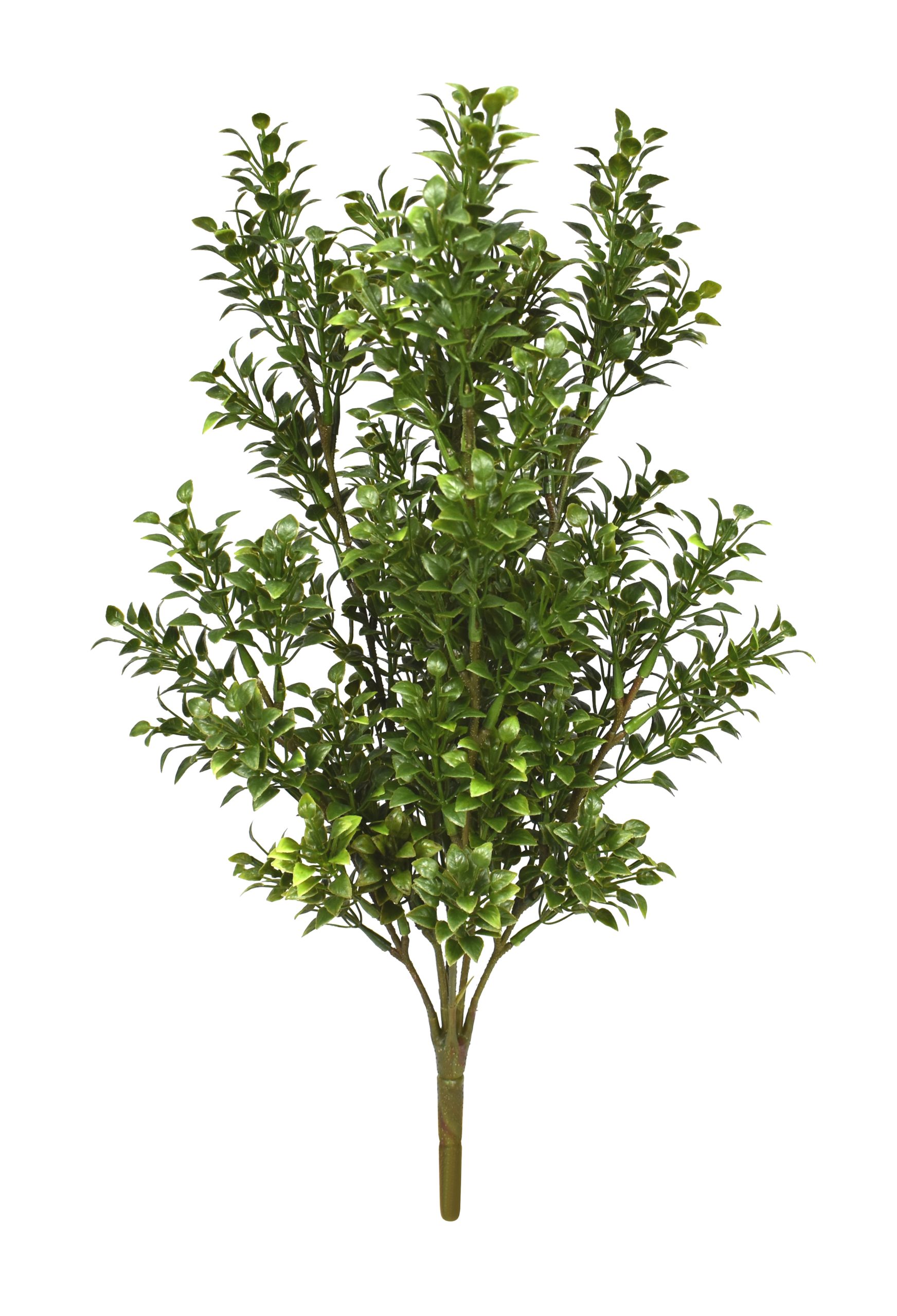 17.5″ UV Resistant Plastic Spindle Hedyotis Bush x7 w/76Lvs.