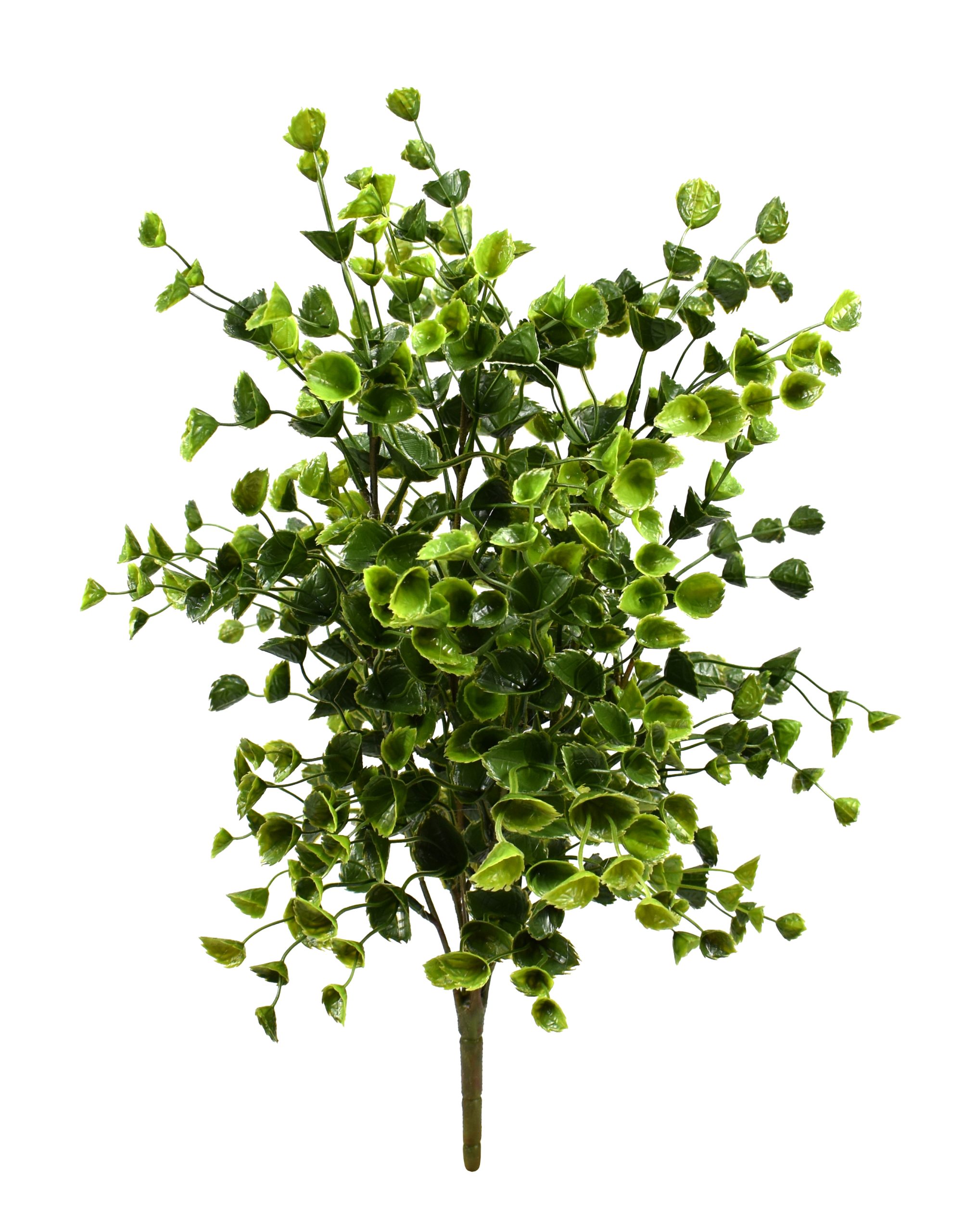 19″ UV Resistant Plastic Mini Green Spurge Bush x7 w/76Lvs.