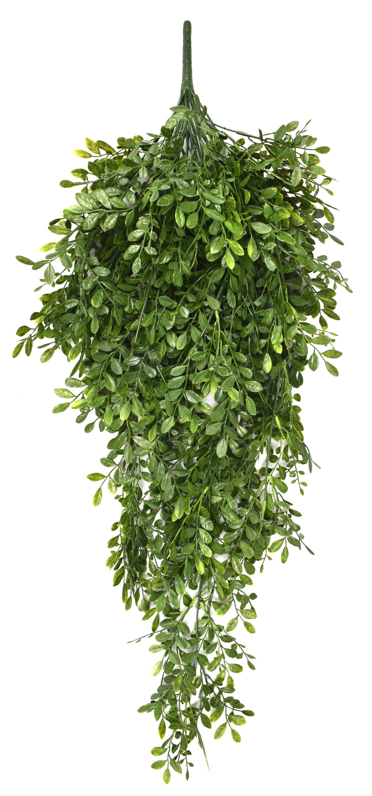 39″ UV Resistant Plastic Murraya Bush x18 w/126Lvs.