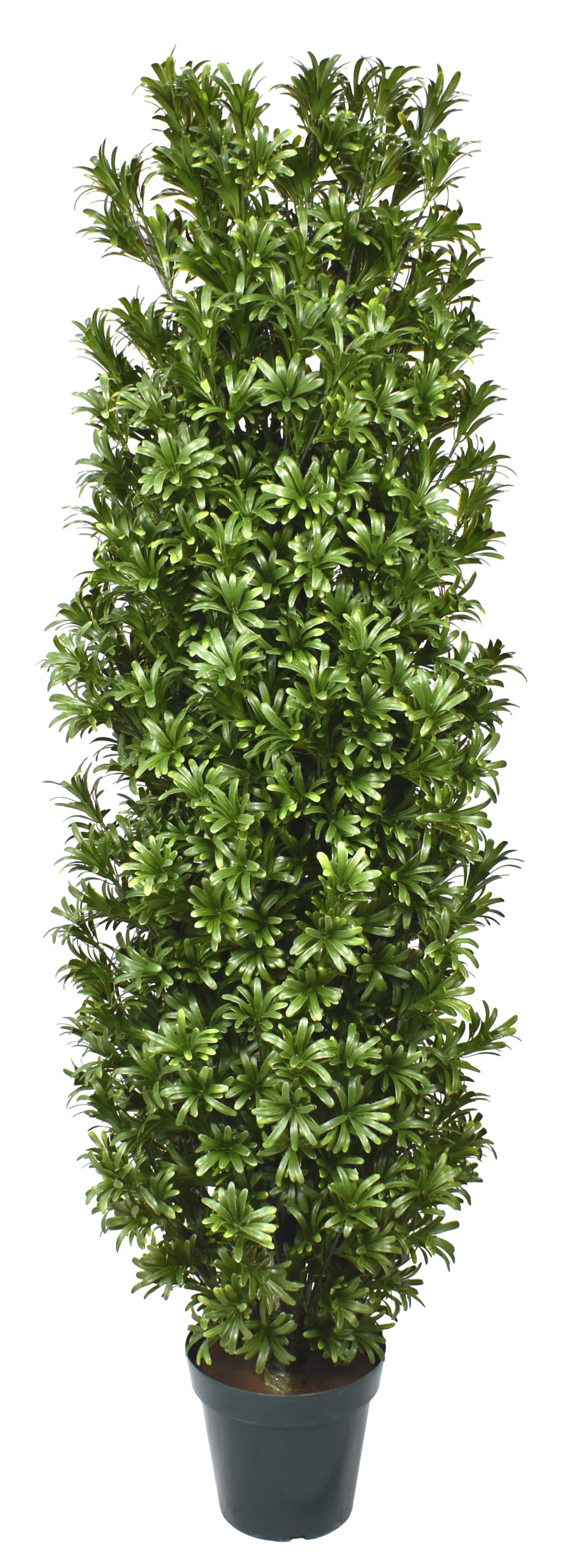 65″ UV Resistant Plastic Buddhist Podocarpus Topiary w/984Lvs.