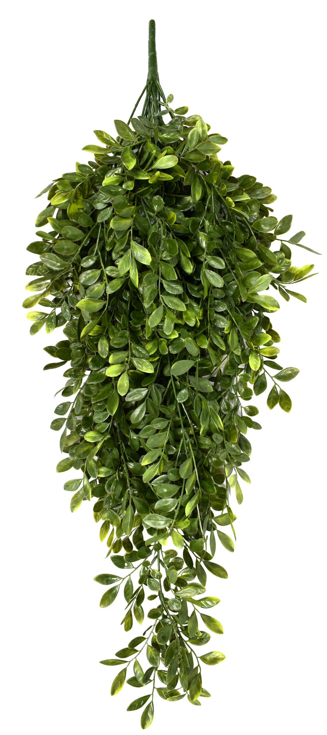 37″ UV Resistant Plastic Murraya Bush x18 w/ 207Lvs.