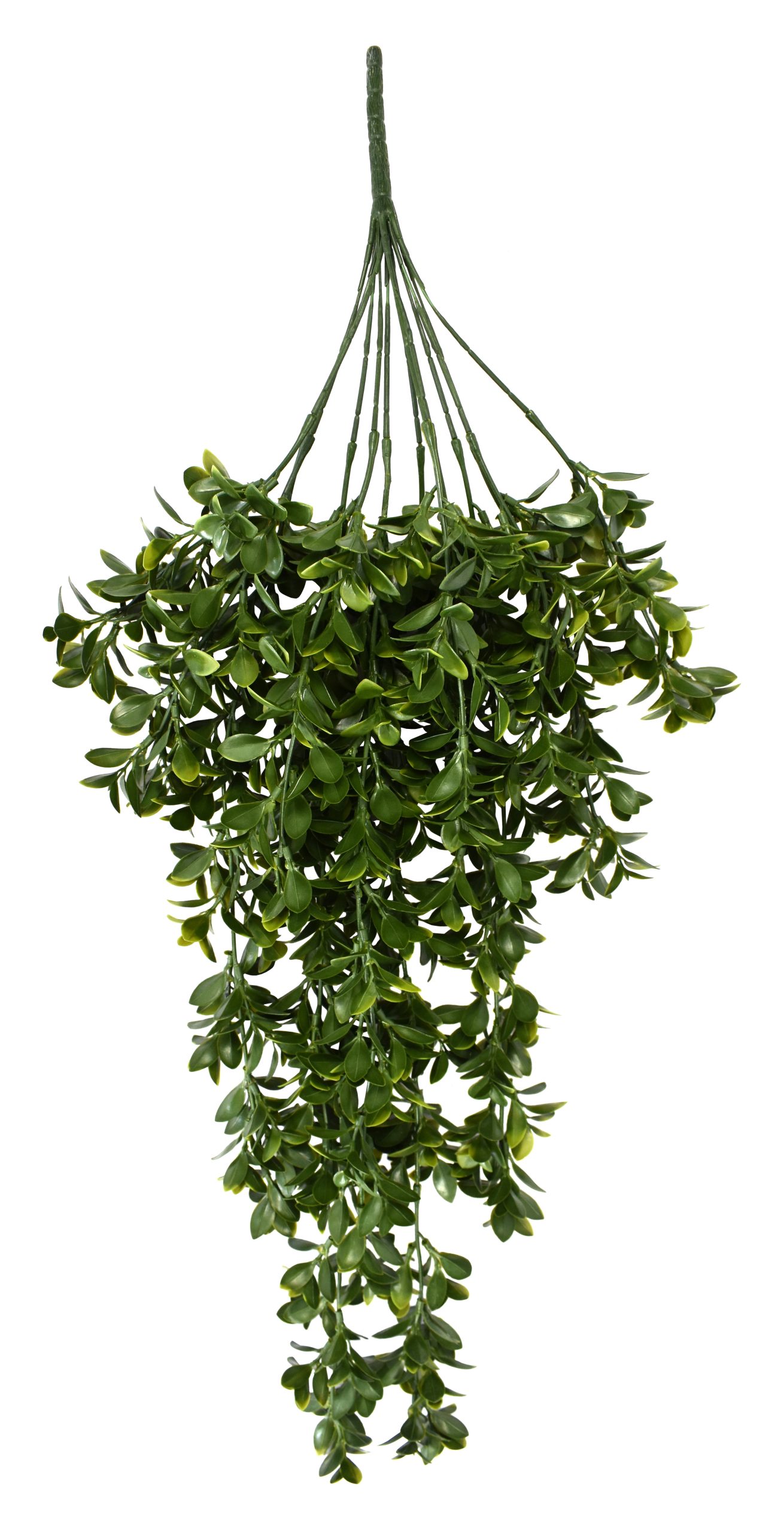 33″ UV Resistant Plastic Nematanthus Bush x13 w/209Lvs.
