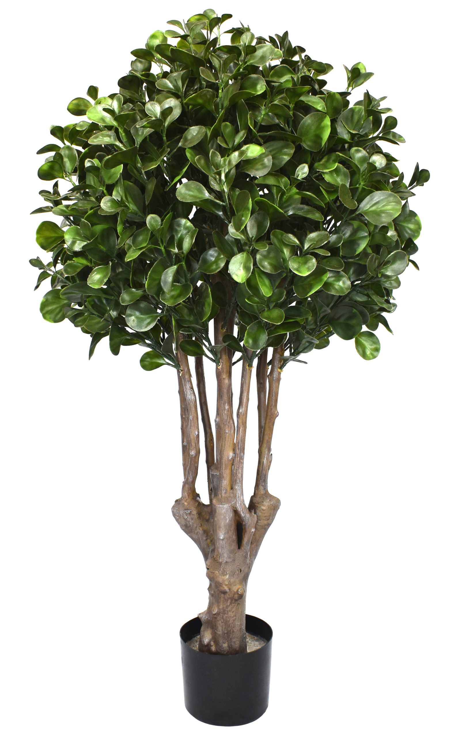 48″ UV Resistant Plastic Money Ficus Plant w/851Lvs.