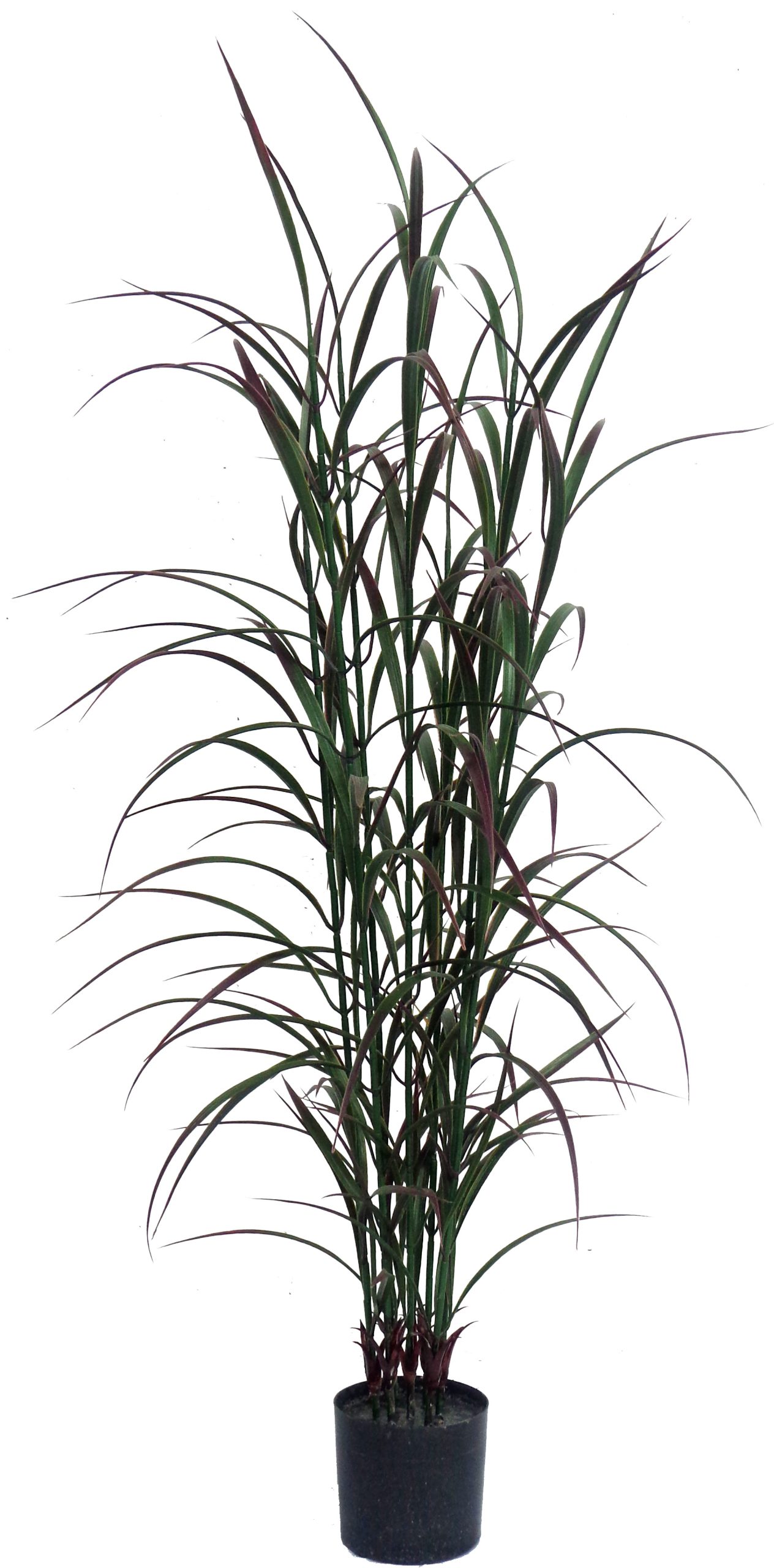 48” UV Resistant Plastic Red Tail Wheat Grass x7 w/165Lvs.