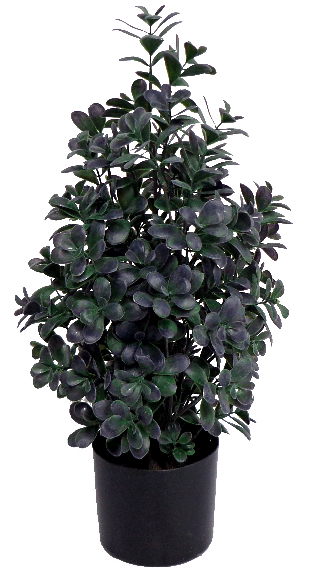 24″ UV Resistant Plastic Mini Pittosporum Plant w/ 90Lvs.