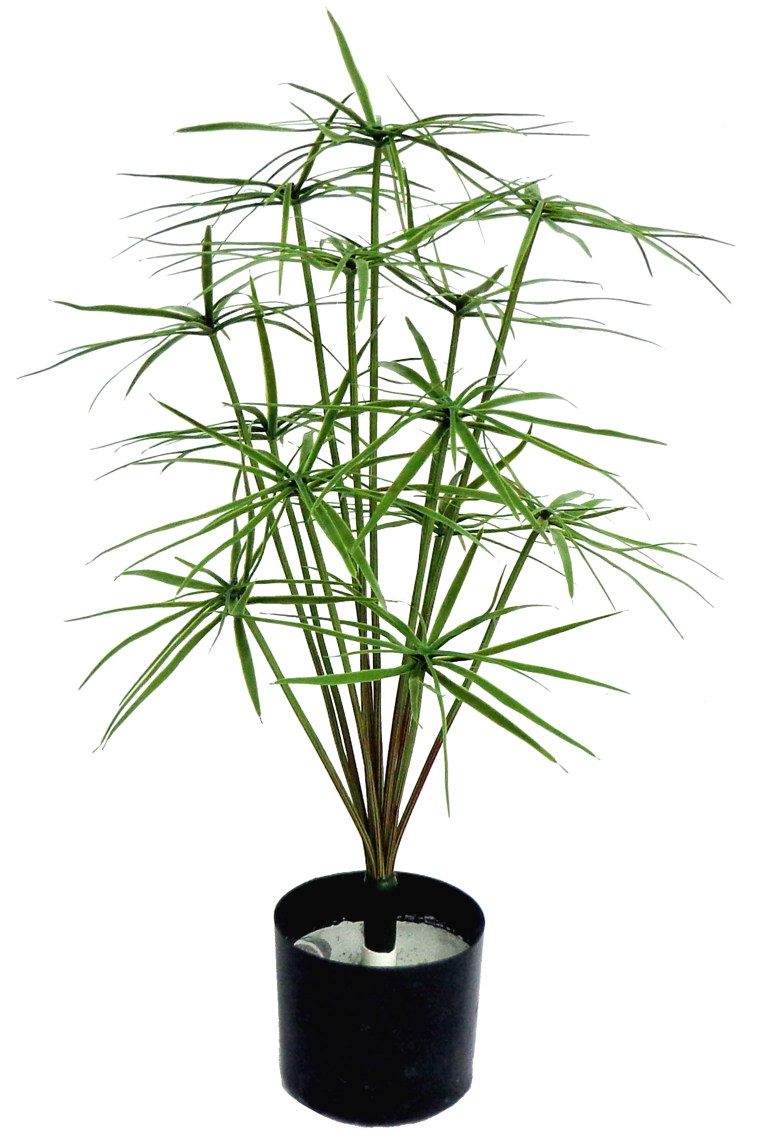 24″ UV Resistant Plastic Papyrus Plant x13 w/ 39Lvs.