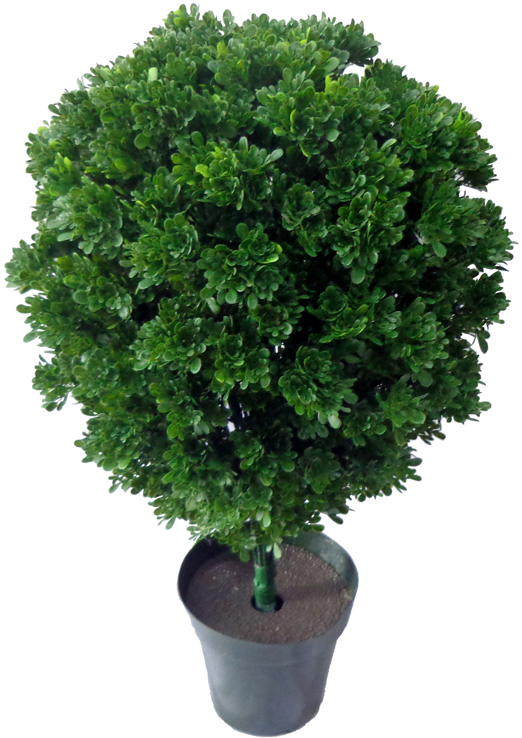 36 IN. UV Resistant Plastic Tea Leaf Topiary W/1236 LVS