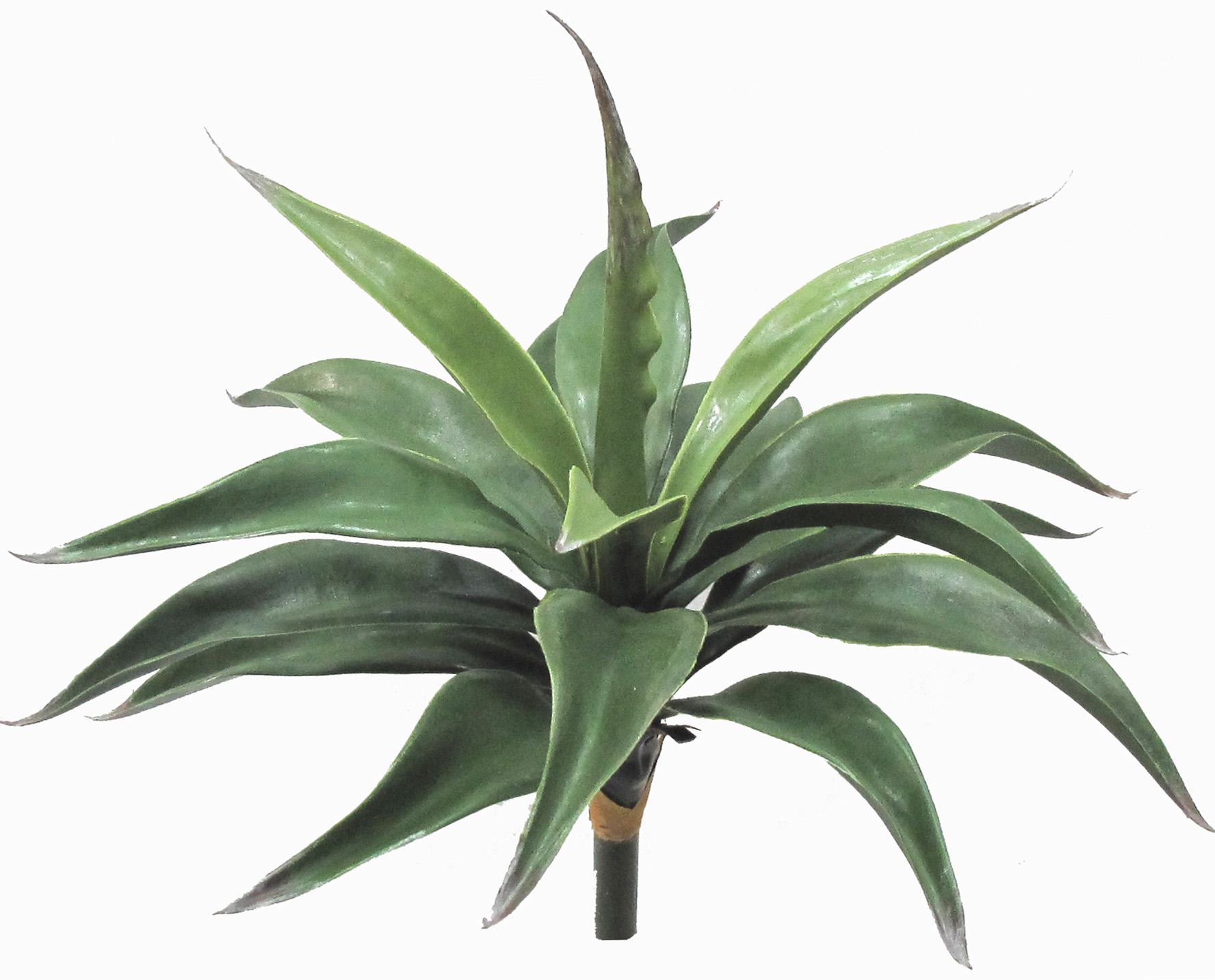 22” UV Resistant Plastic Agave Plant w/18 Lvs