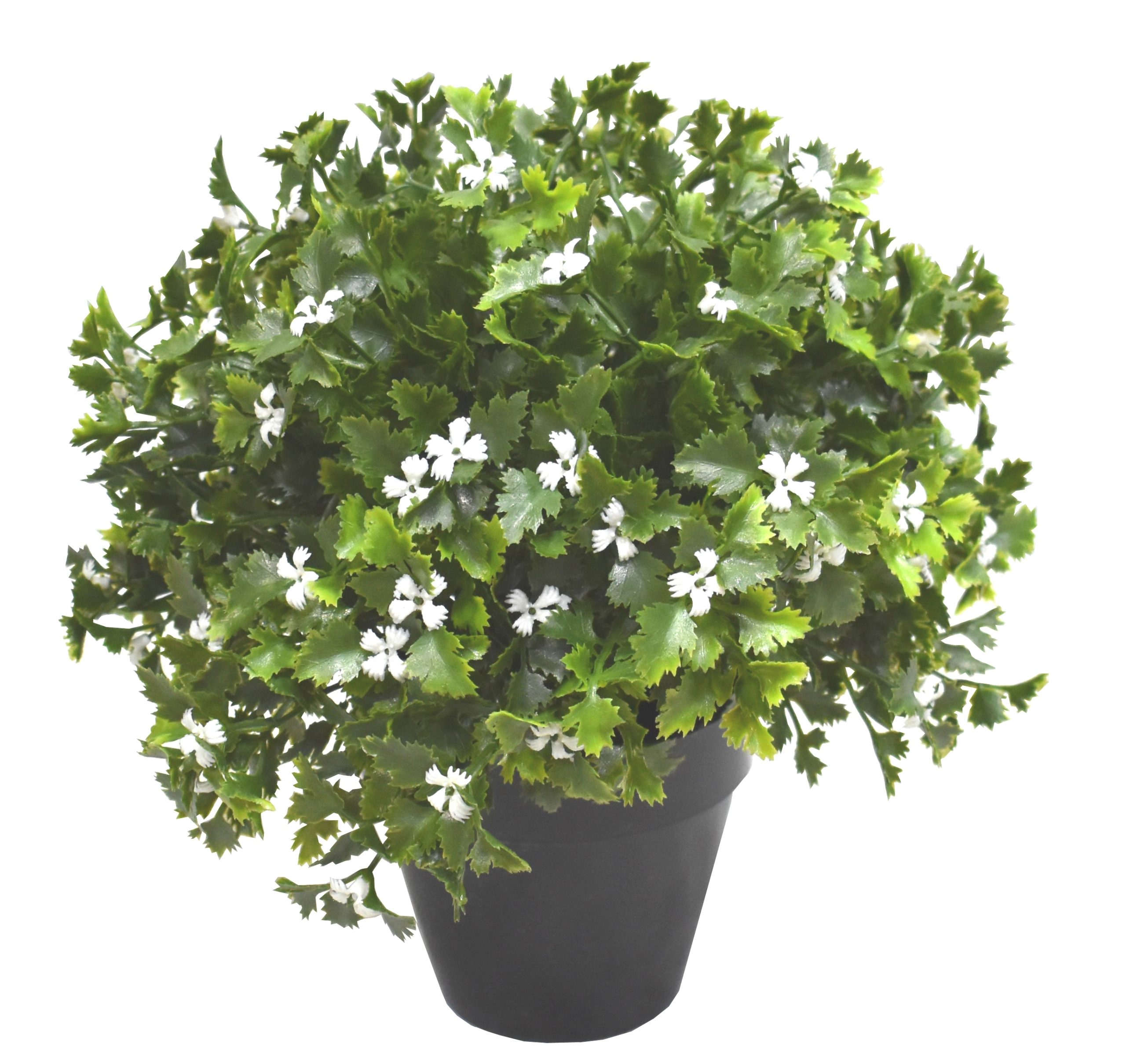 10.5″ UV Resistant Plastic Parsley Small Plant w/ 84lvs. 84flowers.