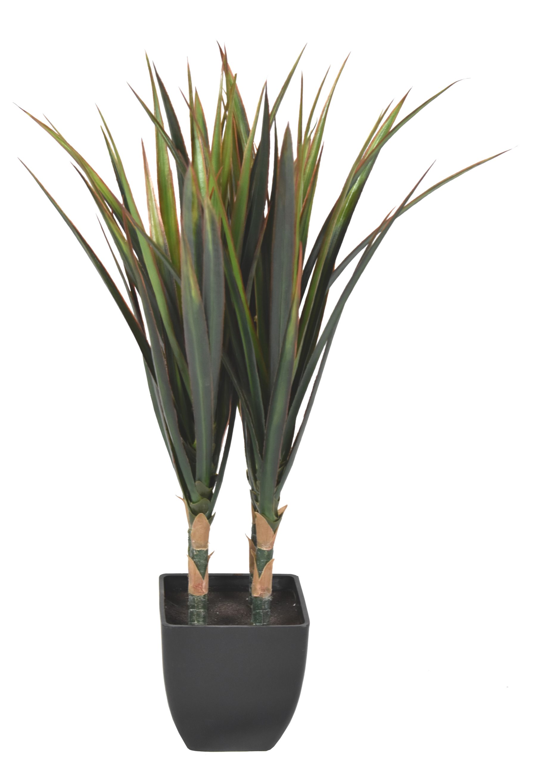 23″ UV Resistant Plastic Yucca x4 w/ 68Lvs.