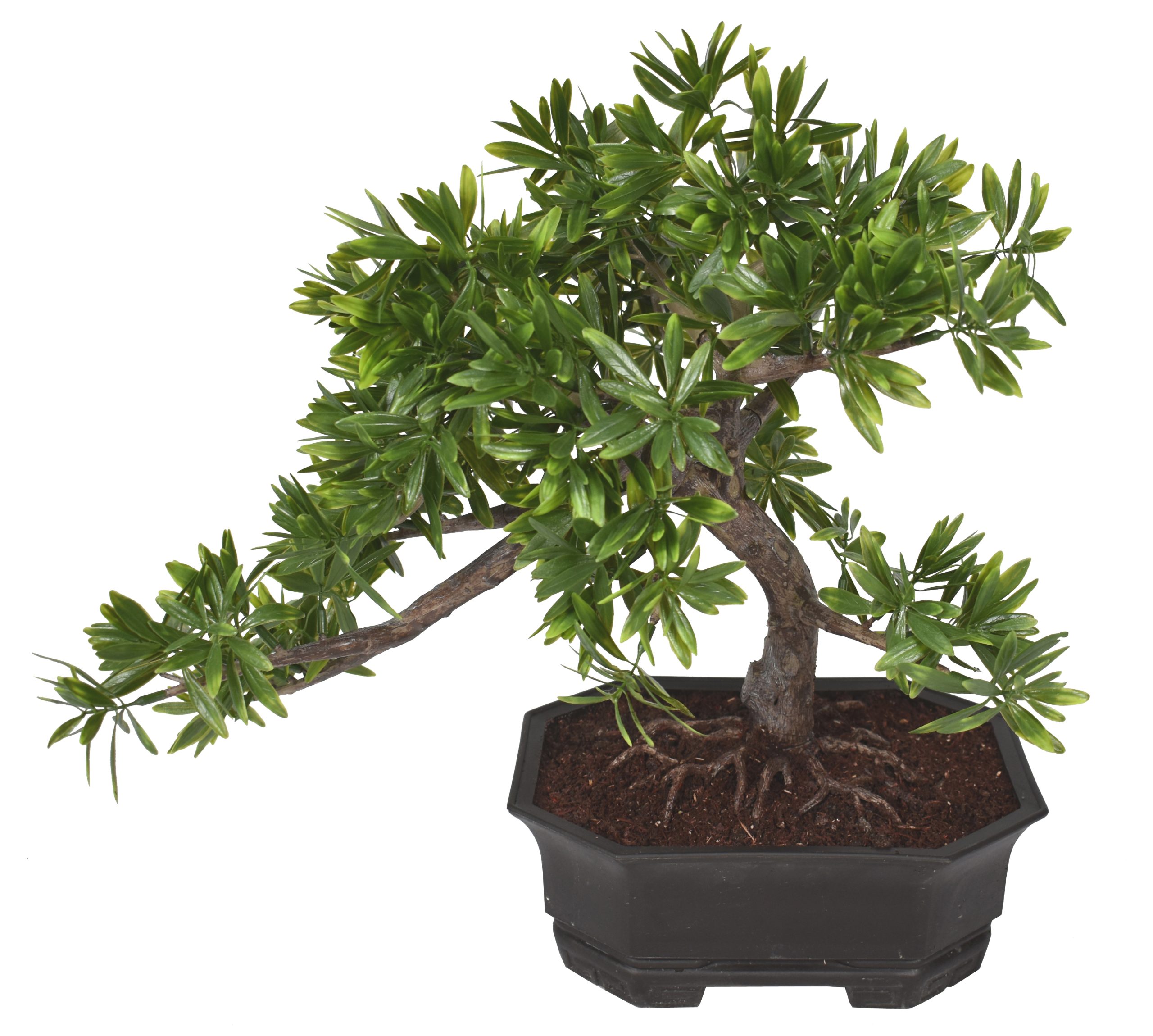 17″ UV Resistant Plastic Mini Rivera Leaf Bonsai w/107Lvs.