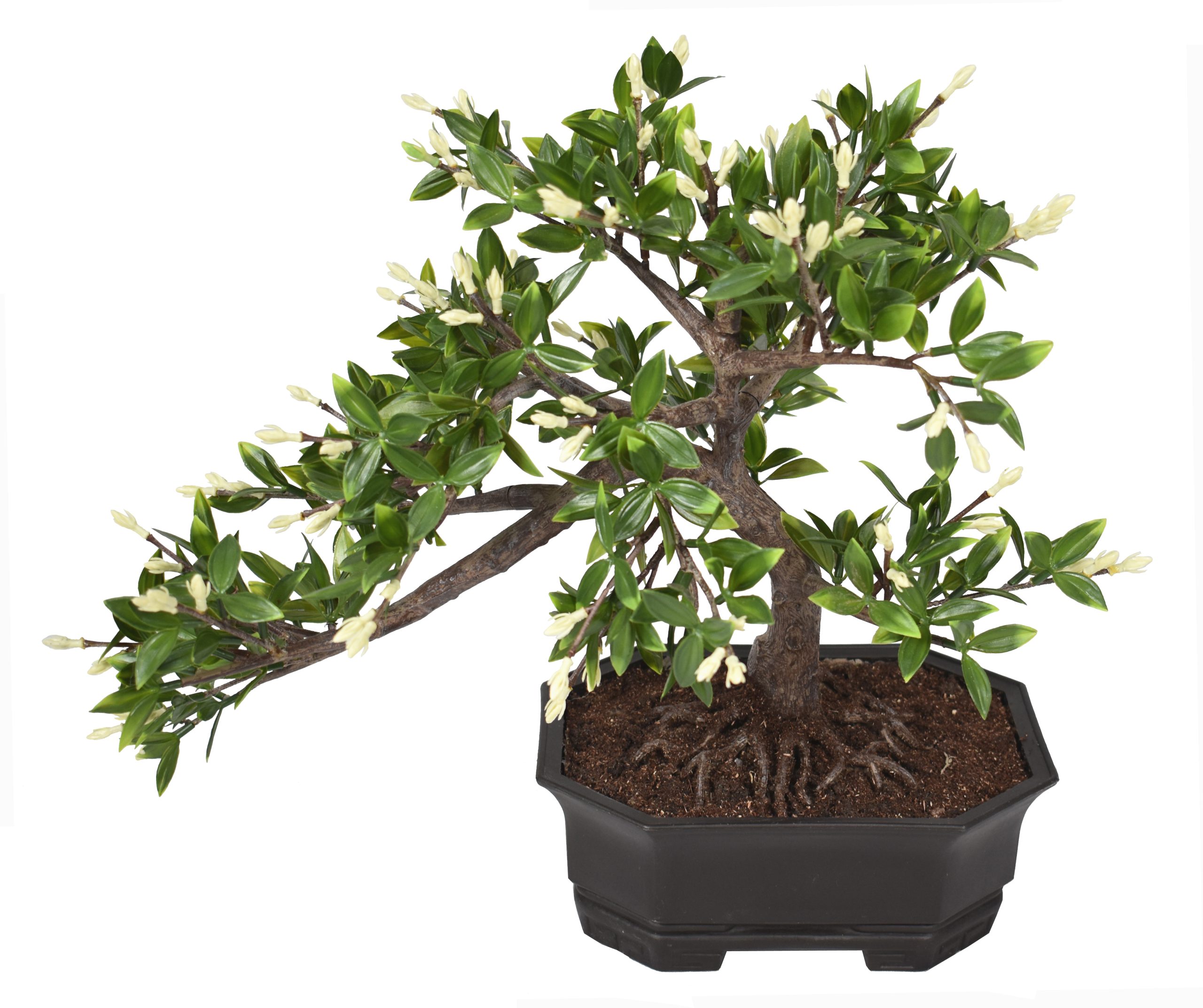 16″ UV Resistant Plastic Purple Brow Bonsai w/195Lvs w/99Berries.