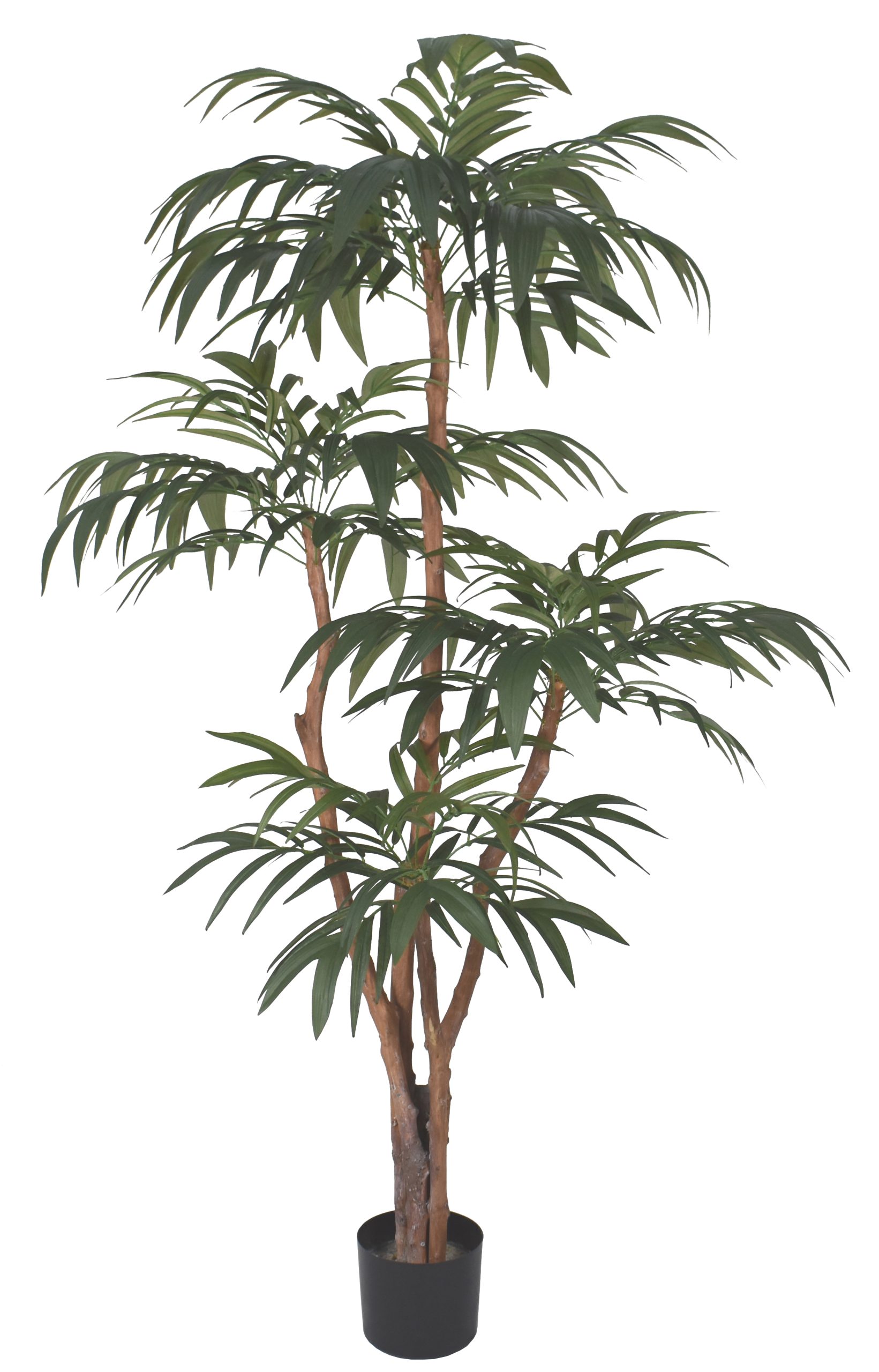 66” Bella Bamboo Tree x4 w/ 411Lvs.