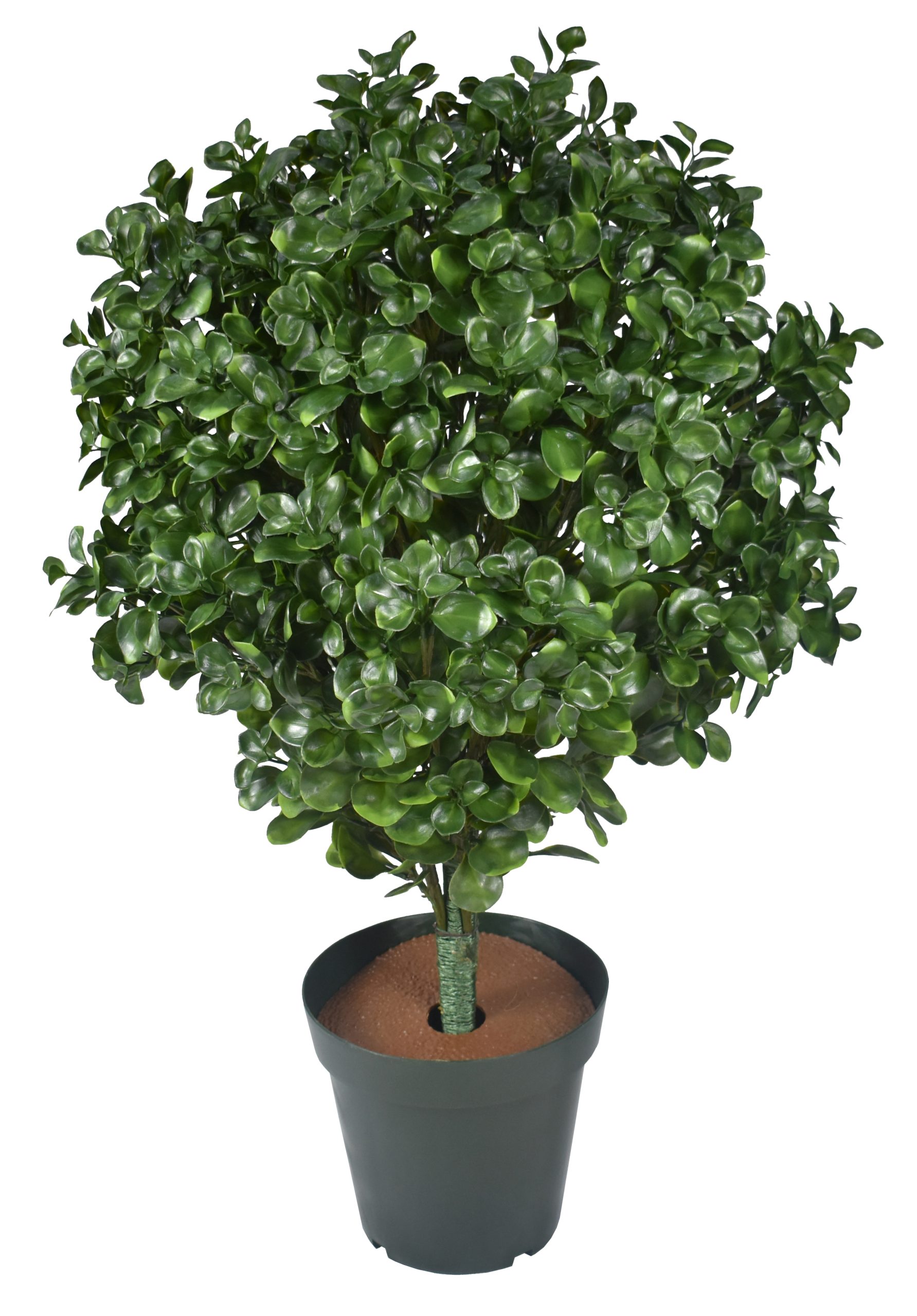 36″ UV Resistant Plastic Big Money Ficus Topiary W/594 LVS