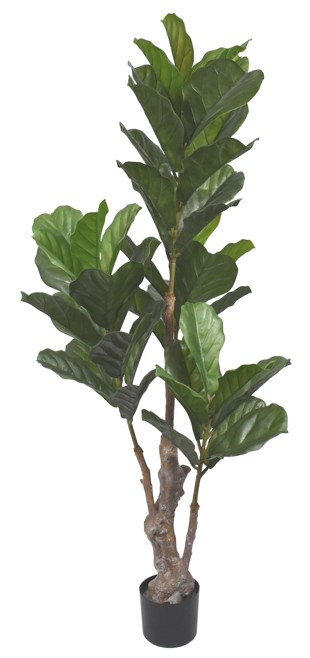 66″ UV Resistant Plastic Giant Fiddle Tree x4 w/44Lvs.