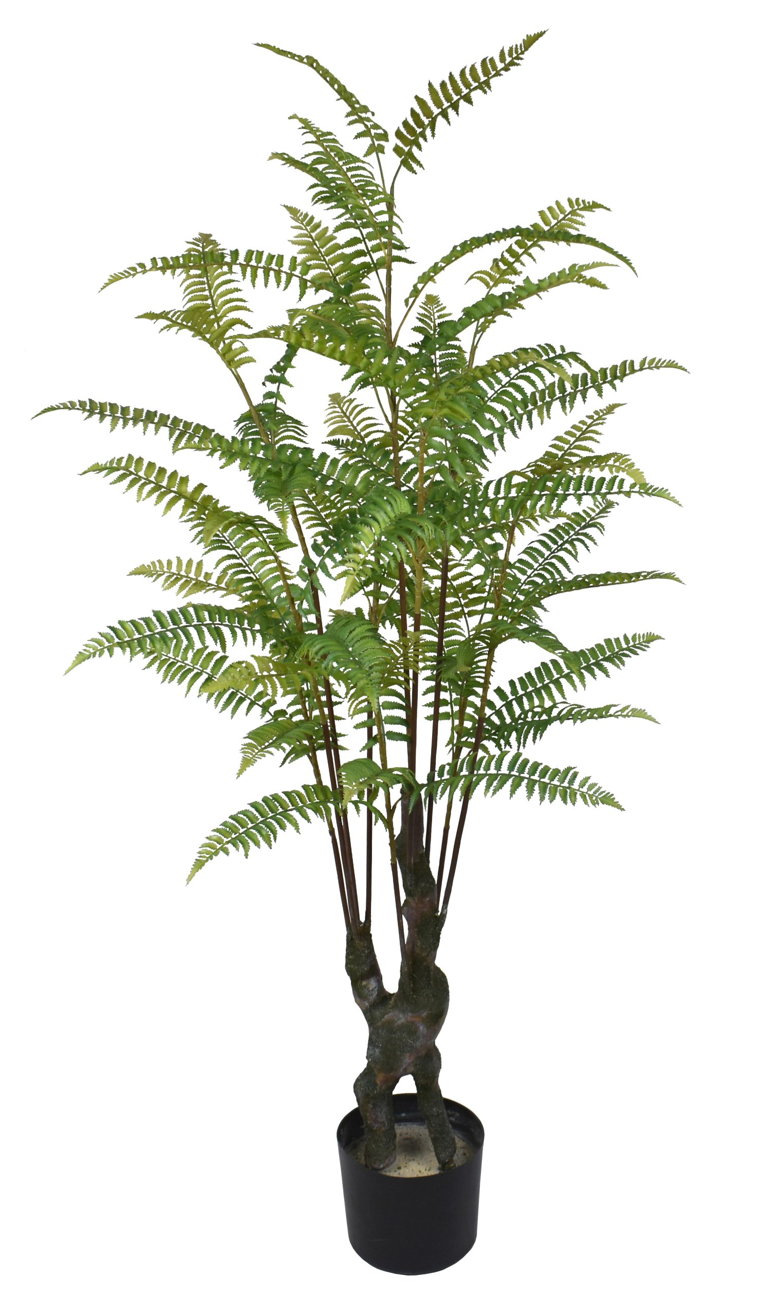 54″ Plastic Boston Fern Tree x10 w/63Lvs.