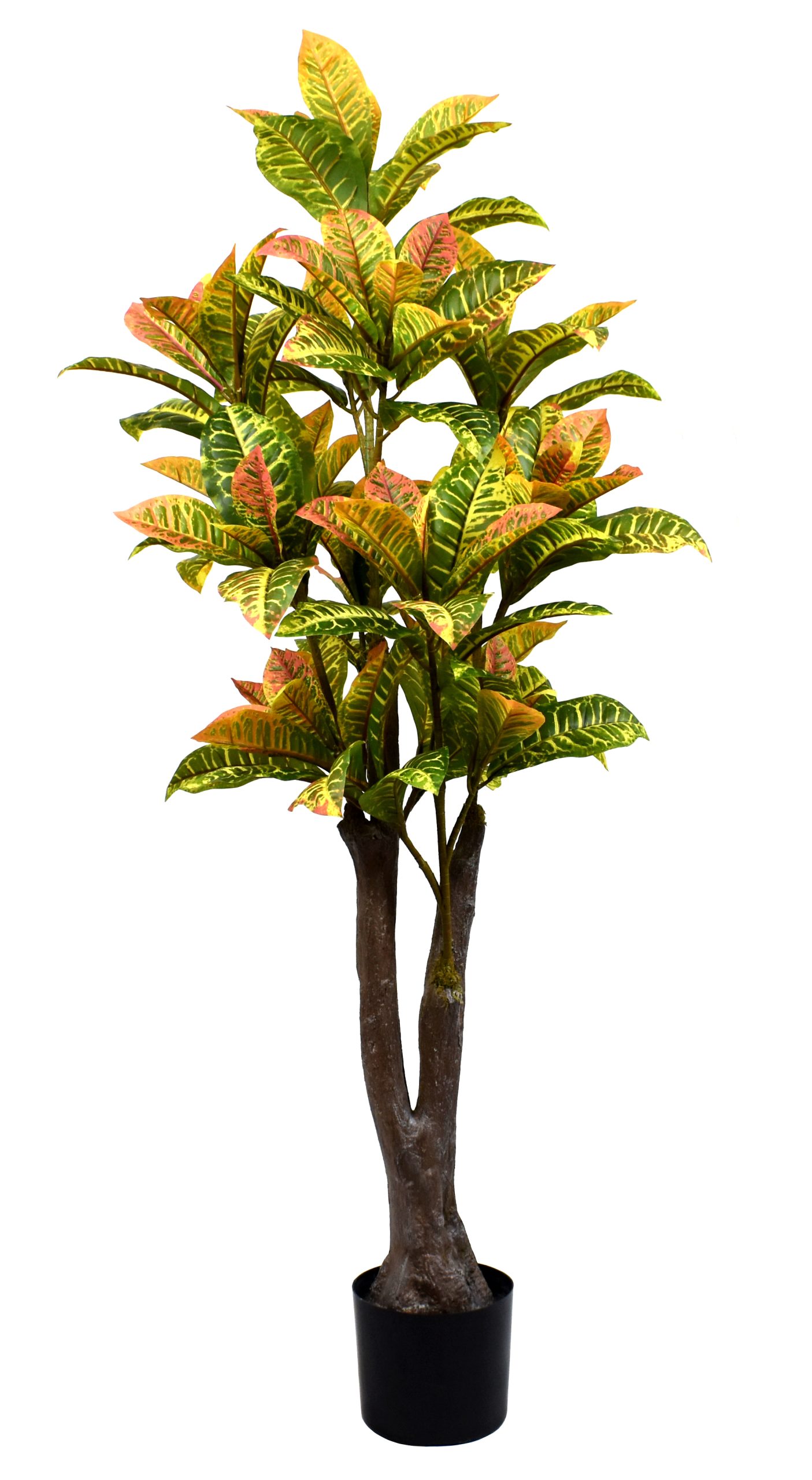 54″ Plastic Film Codiaeum Variegatum Tree x2 w/115Lvs.
