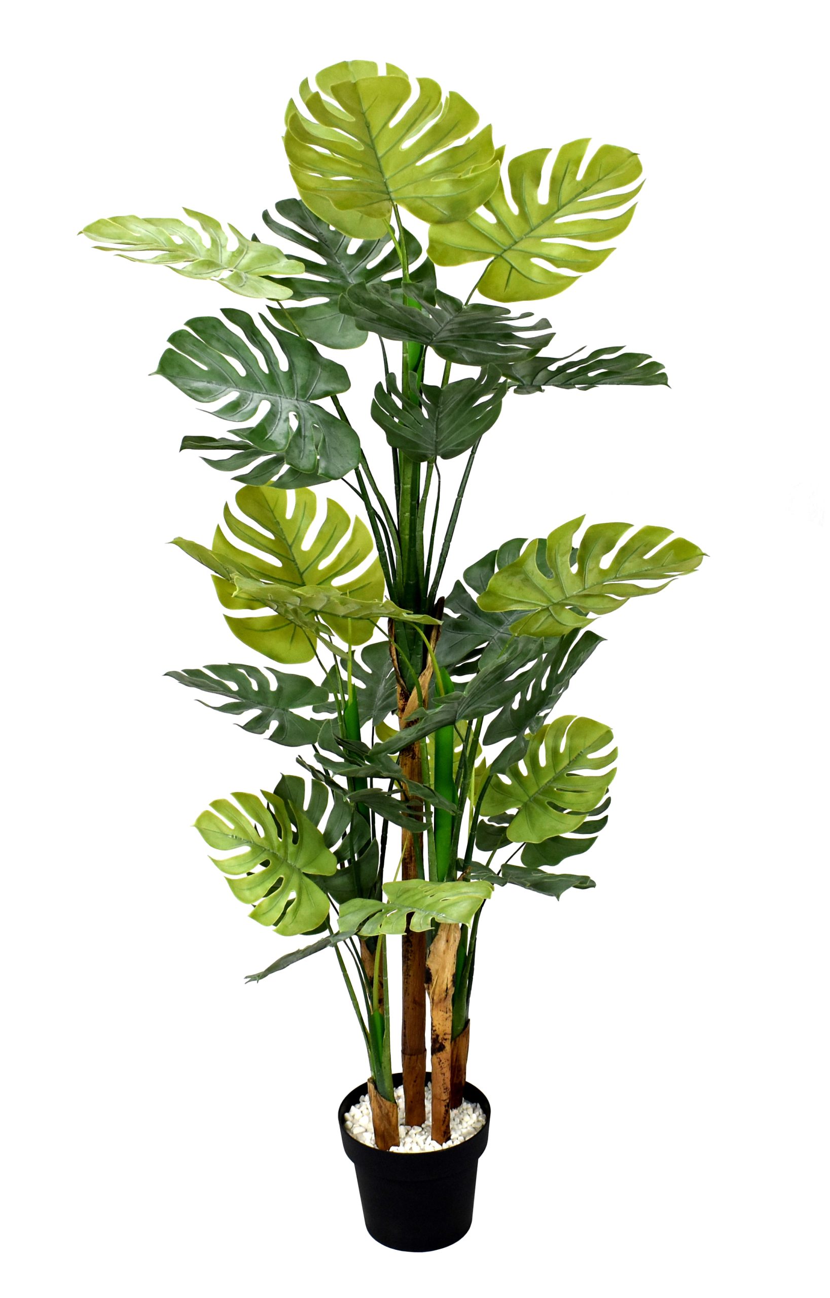 150CM Monstera Plant w/30Lvs.