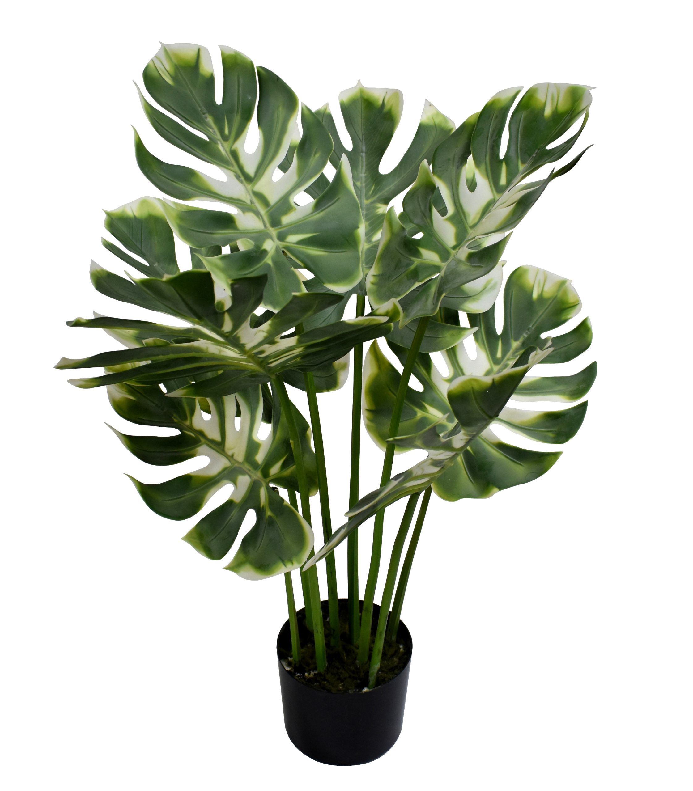 100CM Monstera Plant w/8Lvs.
