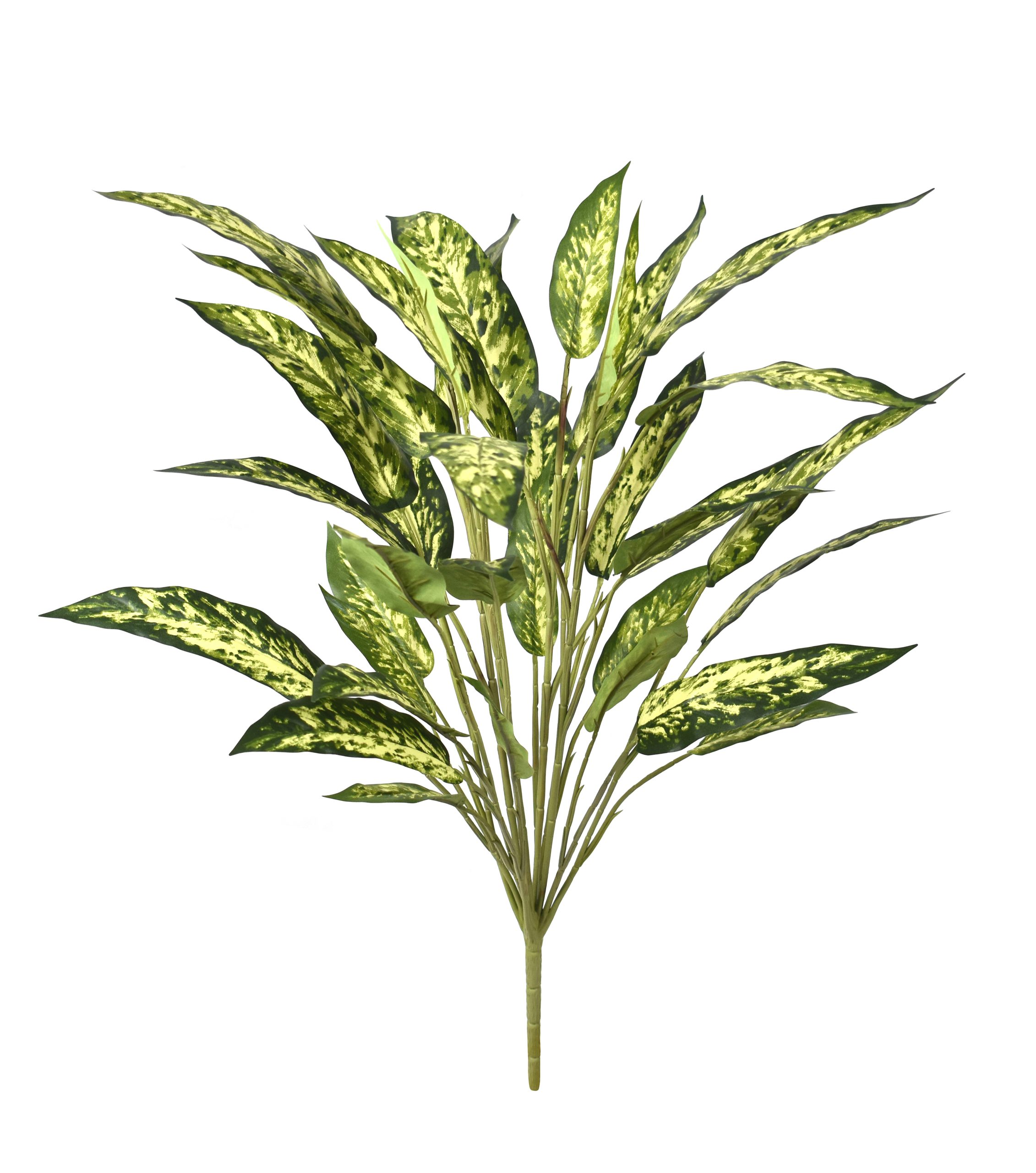 30″ Fire Retardant Aglaonema Bush x12w/36Lvs.