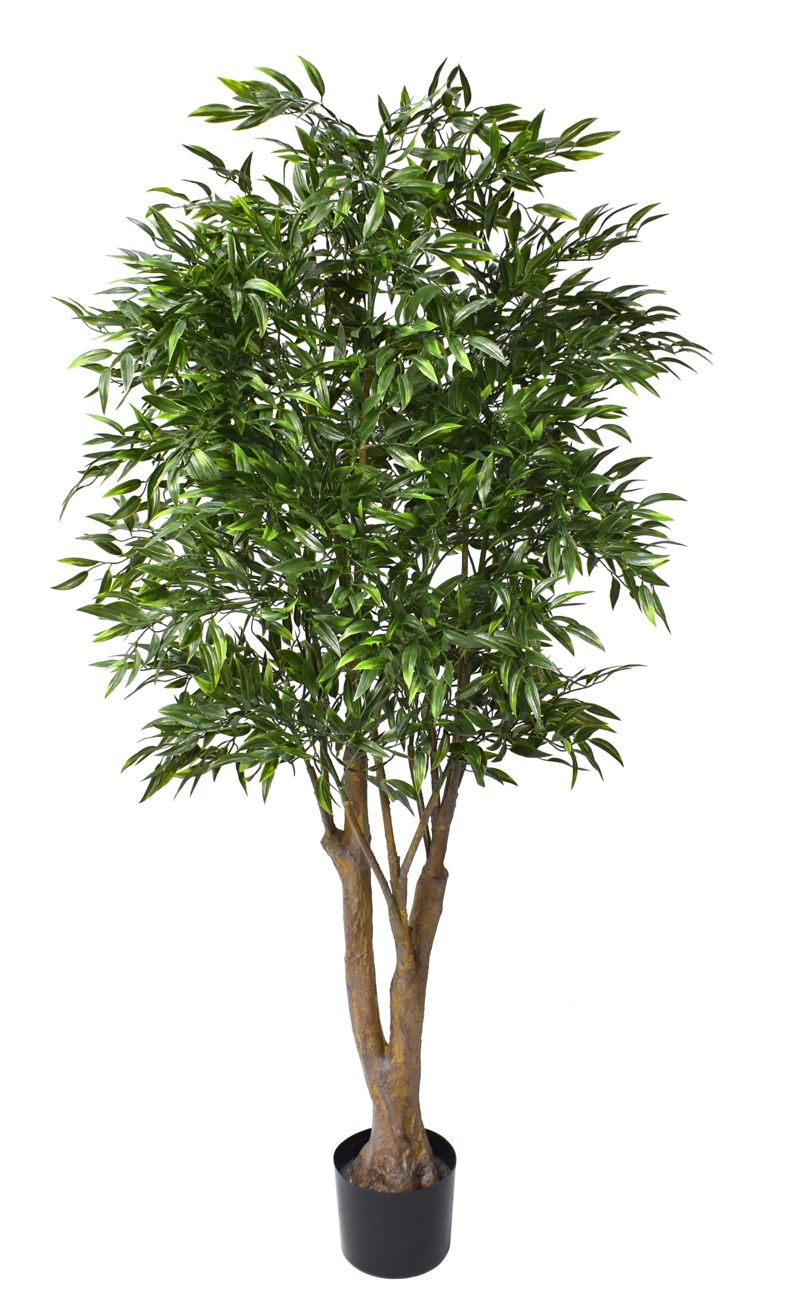 60″ UV Resistant Plastic Ruscus Tree x2 w/3120Lvs.