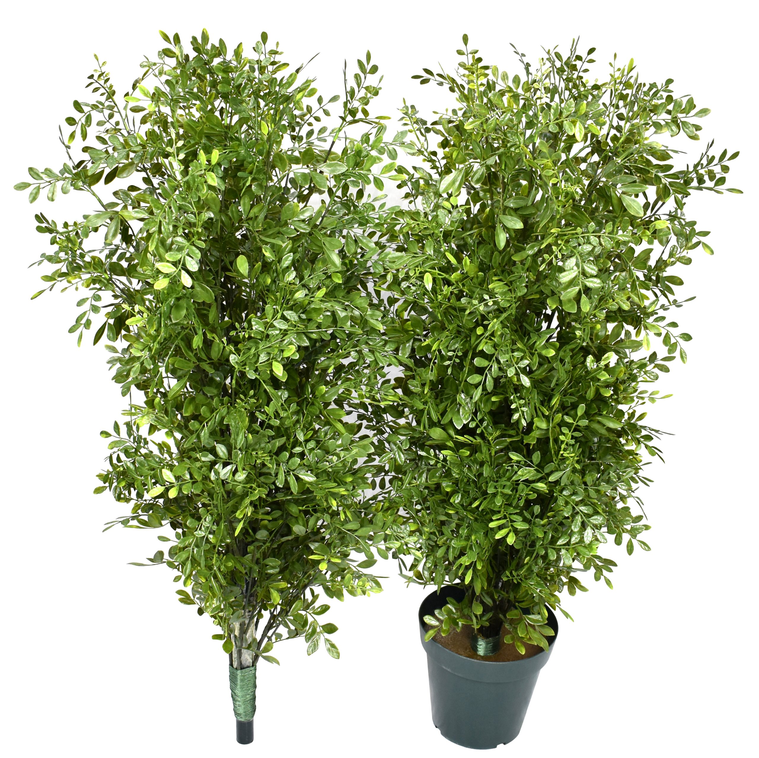 65″ UV Resistant Plastic Murraya Topiary w/882Lvs.