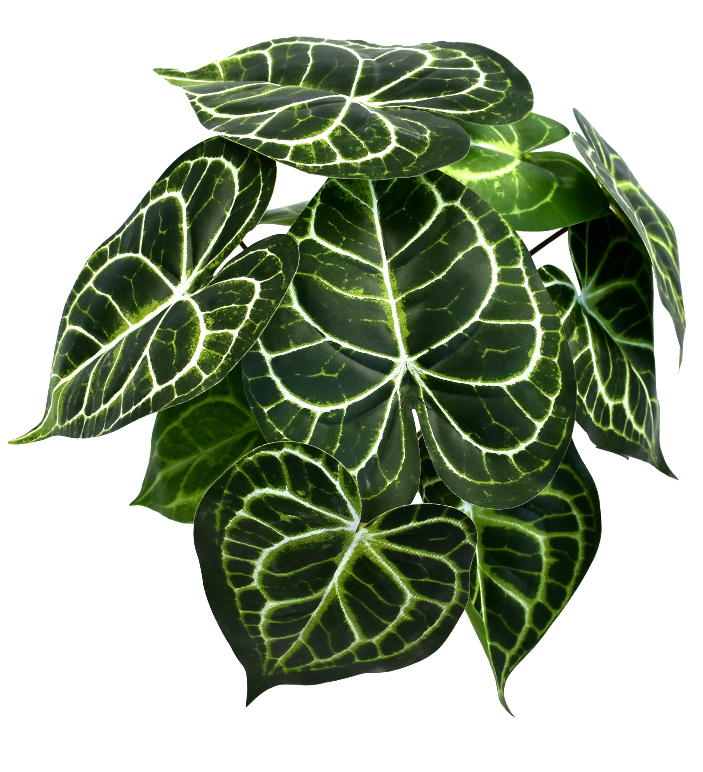 25CM Anthurium Leaf Bush x12Lvs.